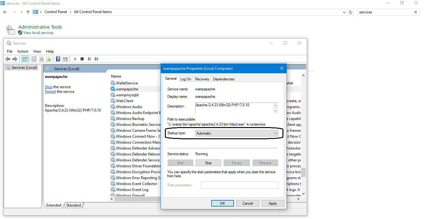 wamp server 2 of 3 services running