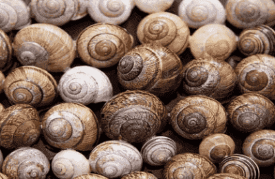 How to write practical shell scripts