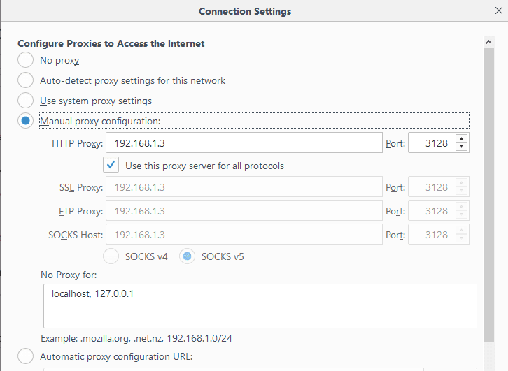 Linux Proxy Server set client