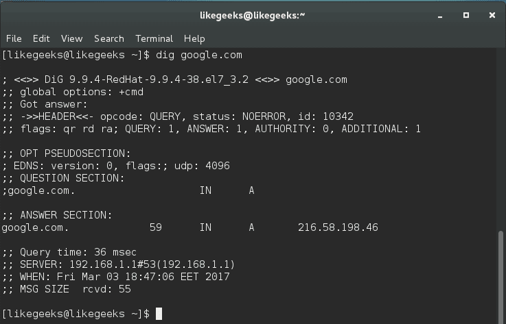 dig linux network commands