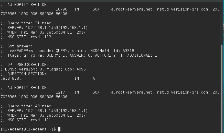 dig -x linux network commands