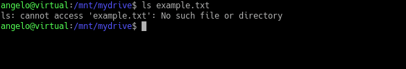 Delete the example file