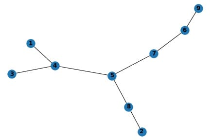 visualization of the grah using networkx