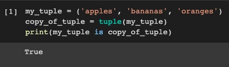 Duplicity in tuples and lists