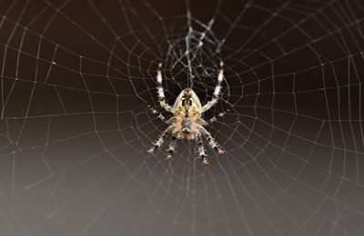 Create Simple Web Crawler Using aiohttp in Python